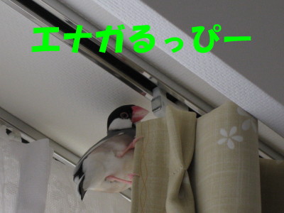 b0158061_2114386.jpg