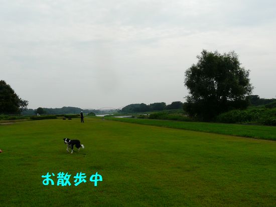 a0100564_1120633.jpg