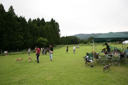 e0062371_11494456.jpg