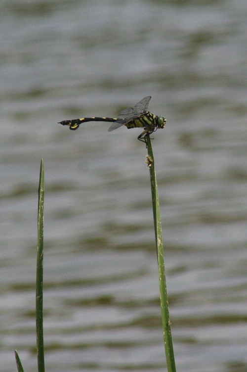 b0088772_1910879.jpg