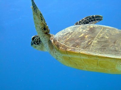 b0033573_17542467.jpg