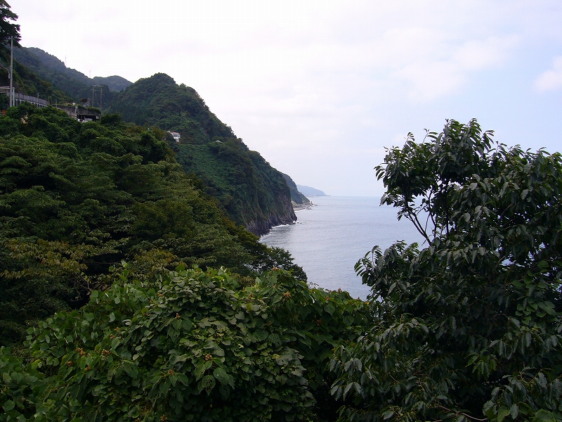 c0196076_1440751.jpg