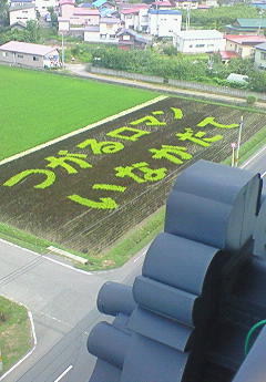 e0173480_15353595.jpg
