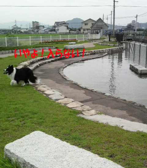 c0120585_14221257.jpg