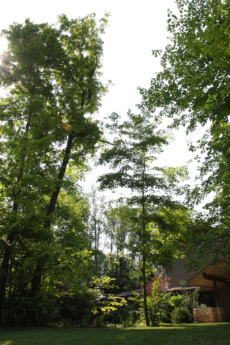 c0130986_10265690.jpg