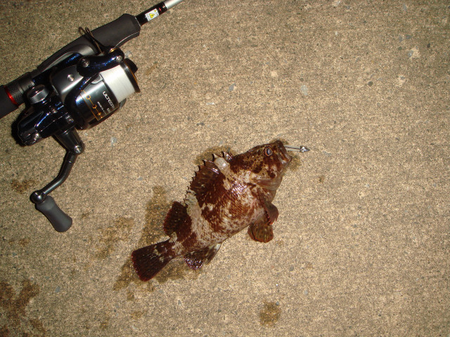 c0139388_12342871.jpg