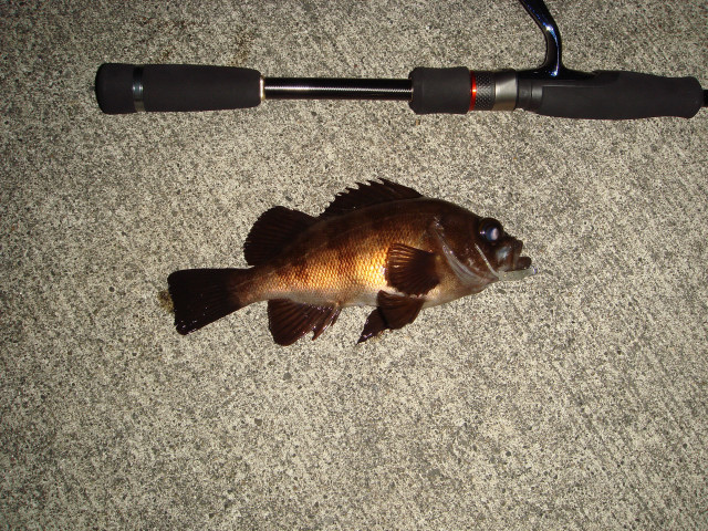c0139388_12351999.jpg