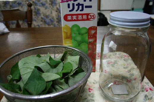 d0070289_1614488.jpg