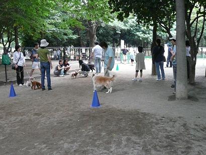 c0123890_2014362.jpg