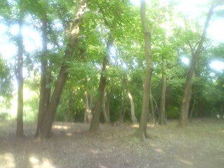 c0141290_23334856.jpg