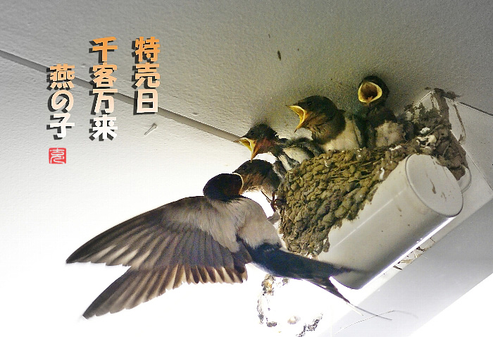 c0186592_2051074.jpg