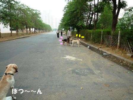 c0196992_750117.jpg