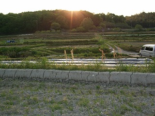 c0055393_042305.jpg