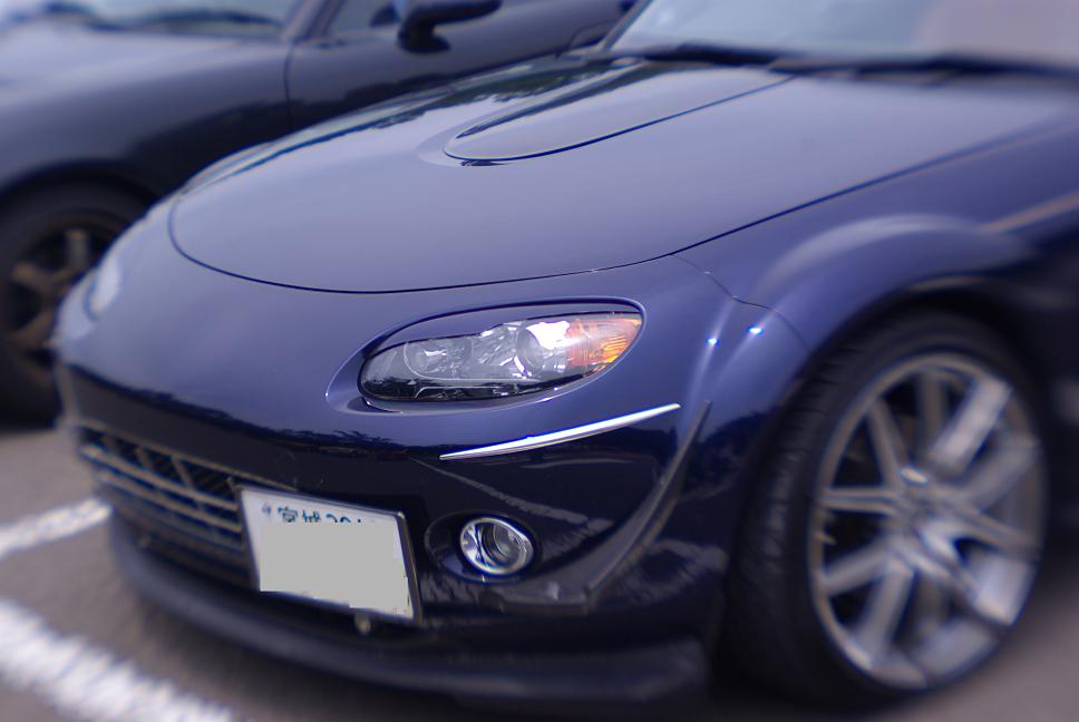 f0081398_1763679.jpg