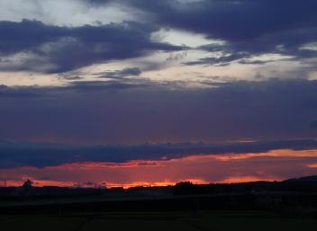e0077899_844244.jpg