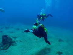 e0023100_1331121.jpg