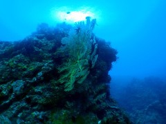 e0023100_13341781.jpg