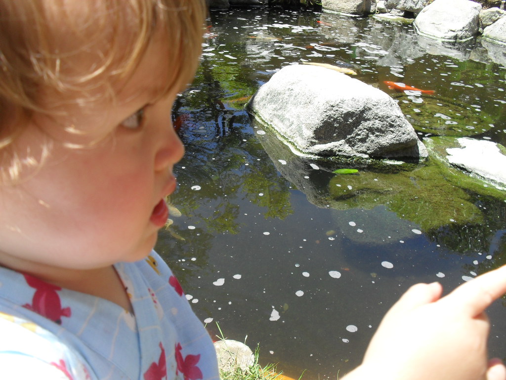 e0103700_10434618.jpg