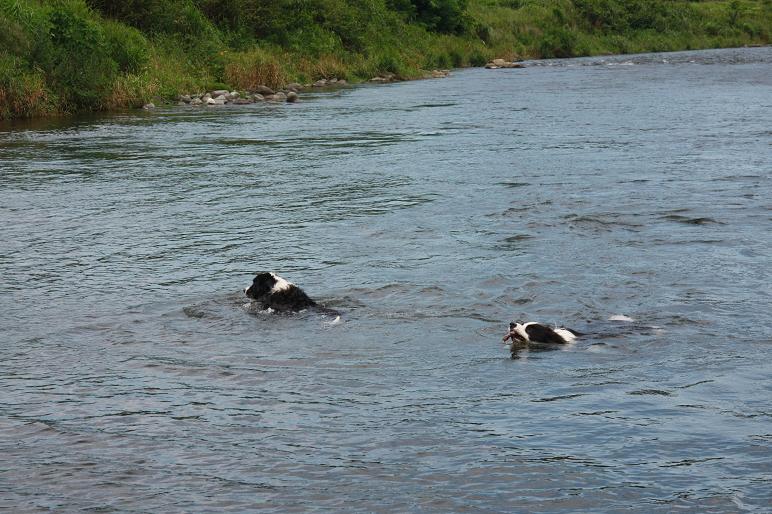 f0034602_20502016.jpg