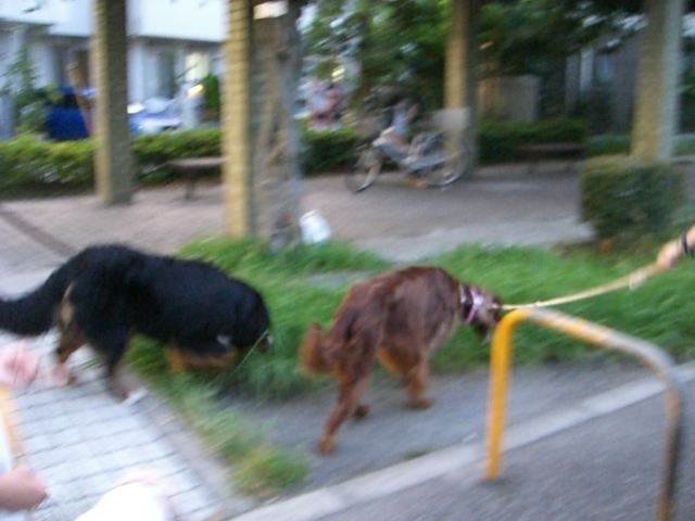 a0134004_22575210.jpg