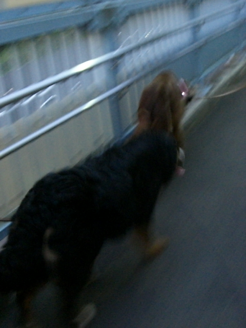 a0134004_231051.jpg