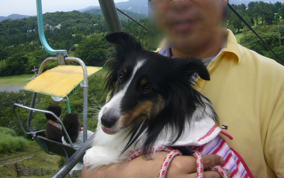 e0130008_1951922.jpg