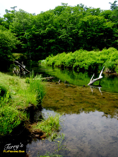 e0009009_2011442.jpg