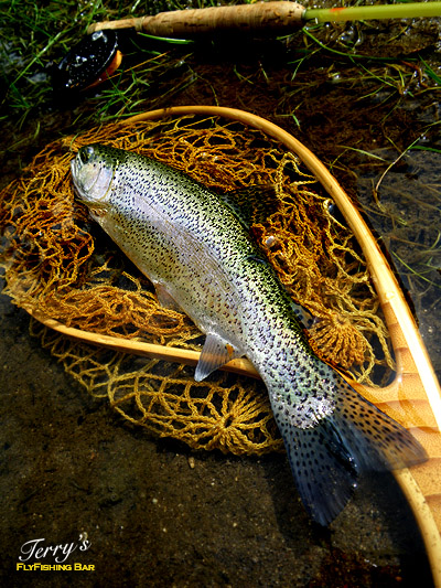 e0009009_20121022.jpg
