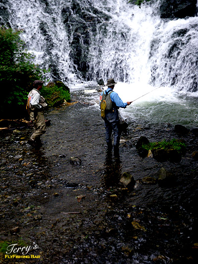 e0009009_2014267.jpg