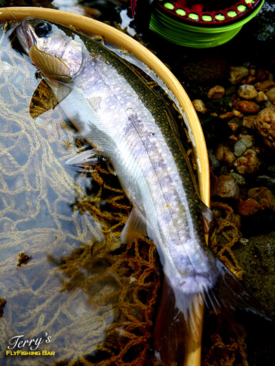 e0009009_2020646.jpg