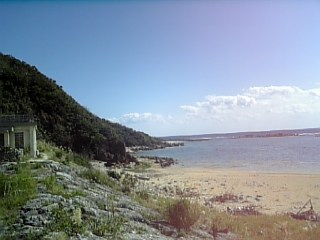 b0174913_20595180.jpg