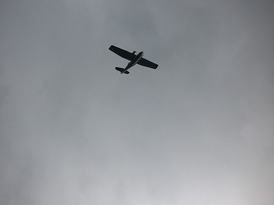 c0167813_3455536.jpg