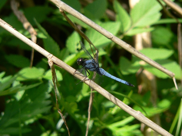 e0002314_22265970.jpg