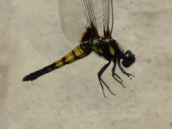 e0002314_22271331.jpg
