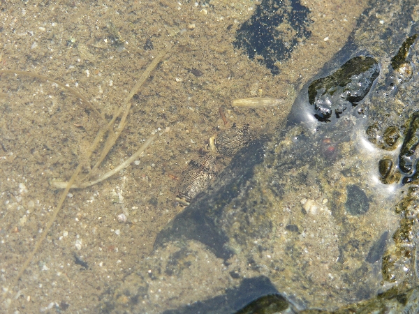 e0002314_22304843.jpg