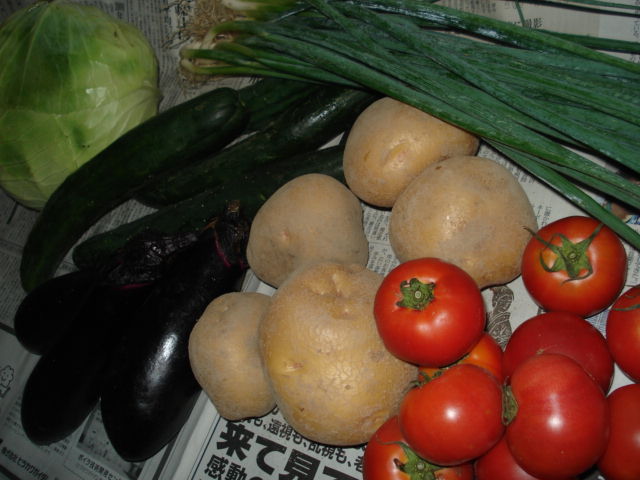 e0110719_2230535.jpg