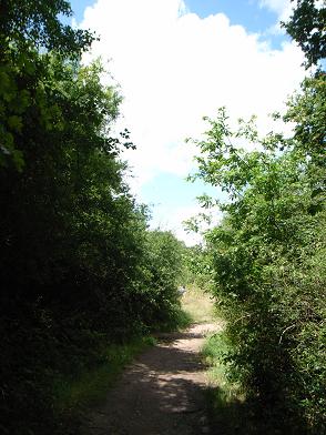 c0178022_7405644.jpg