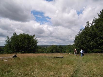 c0178022_742132.jpg