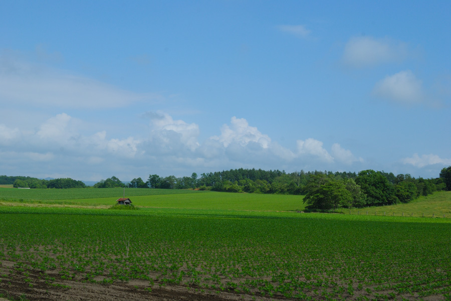 b0146024_2243136.jpg
