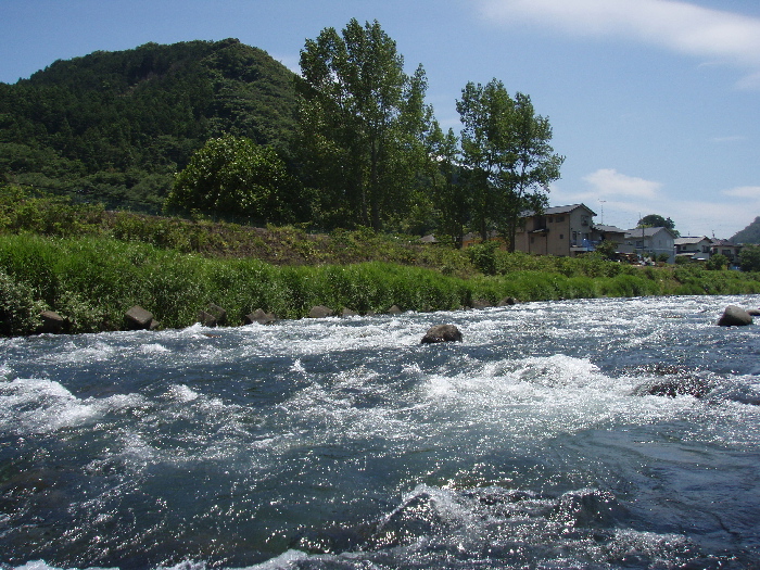 f0103126_235295.jpg