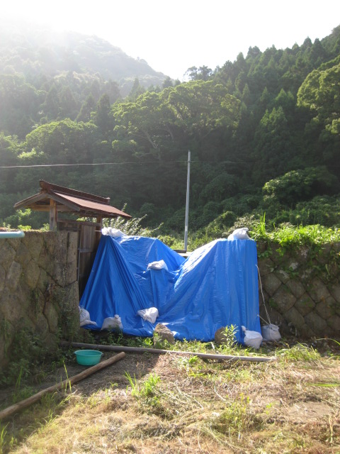 d0147727_20294895.jpg