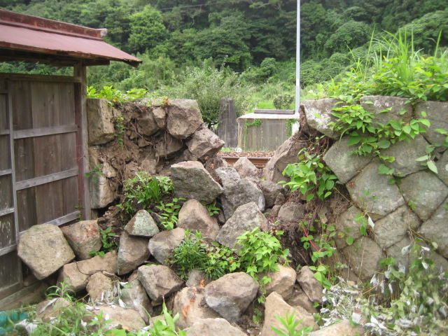d0147727_20331497.jpg