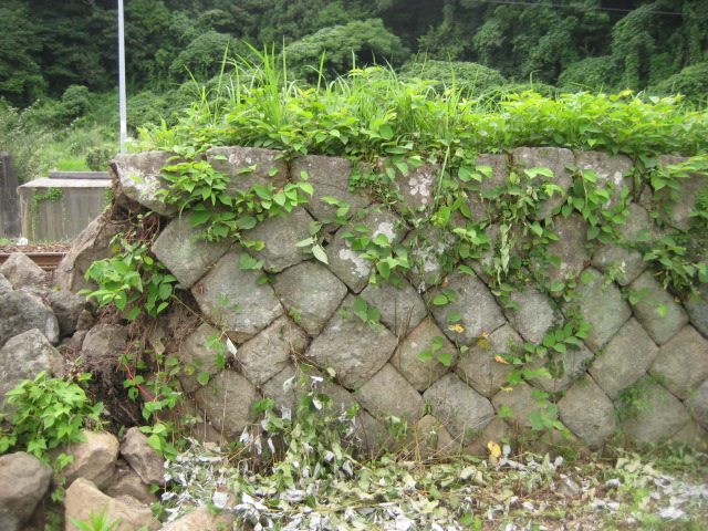 d0147727_20333312.jpg