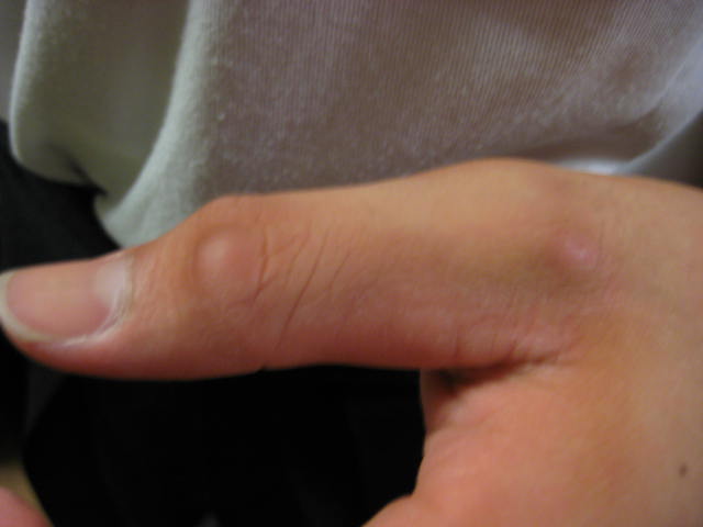 e0166032_22555523.jpg
