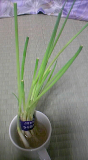 f0034334_22511356.jpg