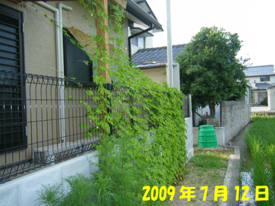 f0008935_212522.gif