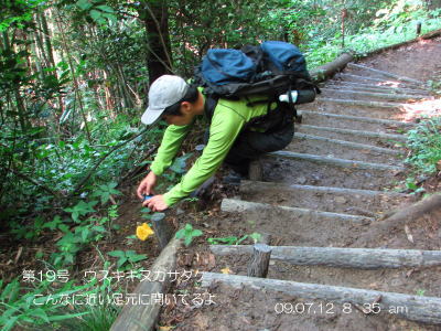 c0077338_7105899.jpg