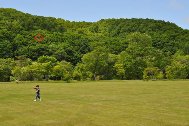 e0172842_7551788.jpg