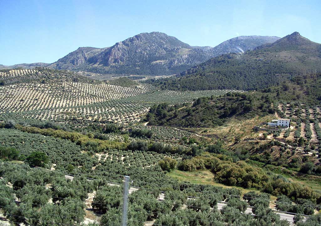 d0129145_4234791.jpg