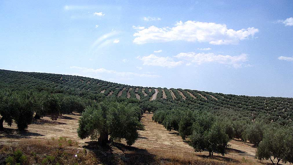 d0129145_4242515.jpg